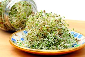Plateful of fresh alfalfa sprouts with a jar in the background