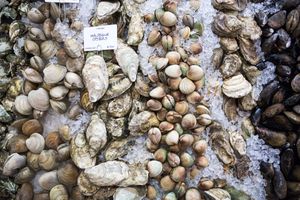 Oysters, clams and mussels on ice at a market.