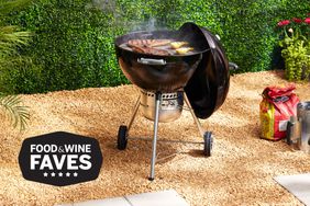 best charcoal grills fw faves
