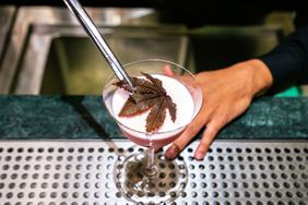 A pink cocktail in a glass with a leaf garnish placed on a bar counter