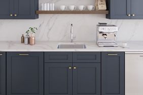 Fabuwood navy kitchen cabinets