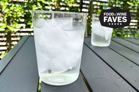 A Williams Sonoma Open Kitchen Tumbler with ice on a table with another glass blurred in the background outdoors with greenery visible