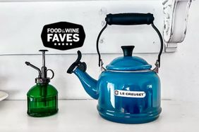 Le Creuset Whistling Kettle