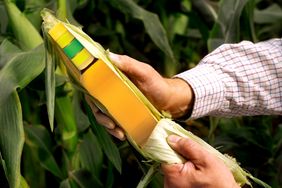 A bottle encased in corn husks being held by hands reflecting a whiskey bottle design