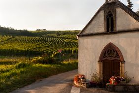 Domaine Valentin Zusslin