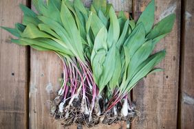 ramps