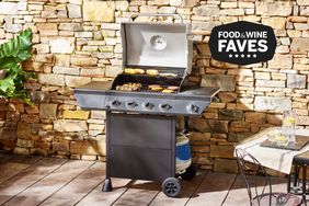 The Best Gas Grills Under $300