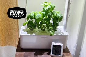 Click & Grow indoor garden