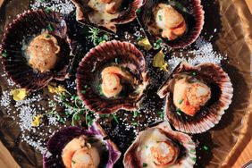 Mediterranean Hors d'Oeuvres